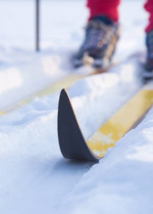 Skis on track in the fresh, white snow in winter day. Classic cross country skiing. Active lifestyle. Enjoying sport. Closeup.